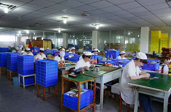 DSC02379-A.jpg
